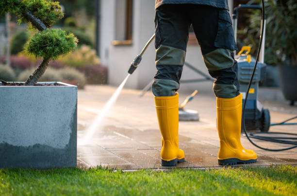 Local Pressure Washing Services in Dublin, GA